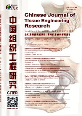 中国组织工程研究杂志